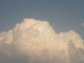 IMG_7737.jpg