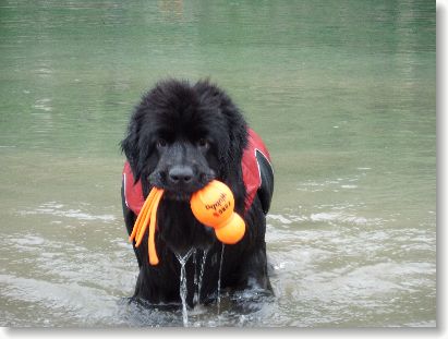 201205205.jpg