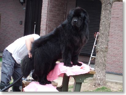 201205209.jpg