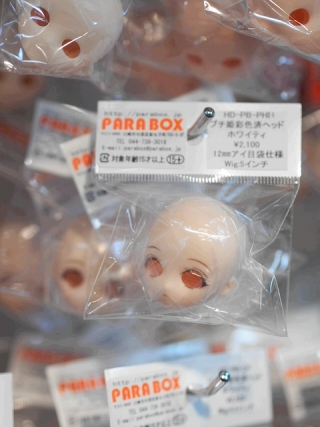 たくさん入荷しました!
