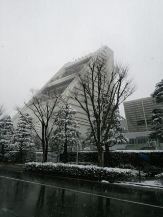 前回の雪の時より積もっていない気がします。