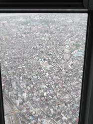 2012060517