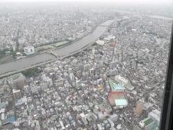 2012060519