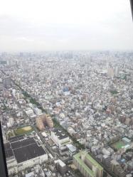 2012060530