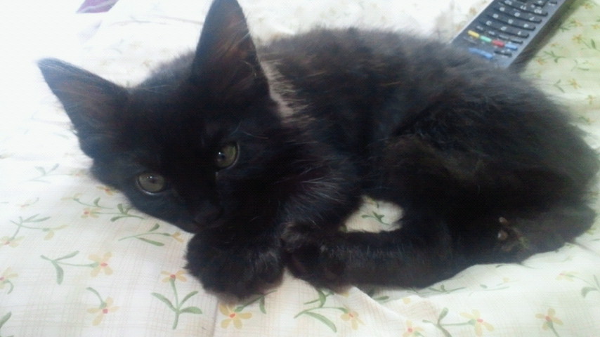 2012062811420000.jpg