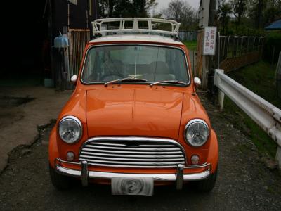 IMG_7077_.jpg