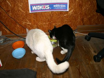 IMG_7250_R.jpg
