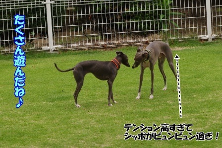 http://peesaurus.blog.fc2.com/
