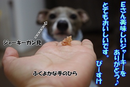 http://peesaurus.blog.fc2.com/