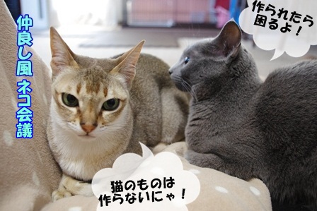 http://peesaurus.blog.fc2.com/