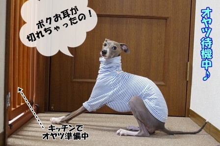 http://peesaurus.blog.fc2.com/