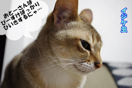 http://peesaurus.blog.fc2.com/