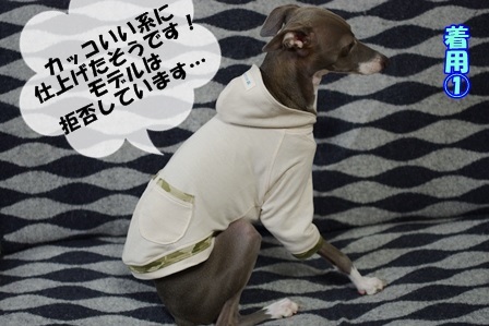 http://peesaurus.blog.fc2.com/