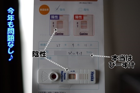 http://peesaurus.blog.fc2.com/