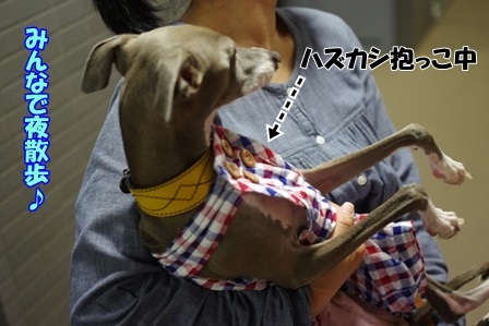 http://peesaurus.blog.fc2.com/