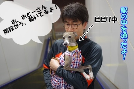 http://peesaurus.blog.fc2.com/