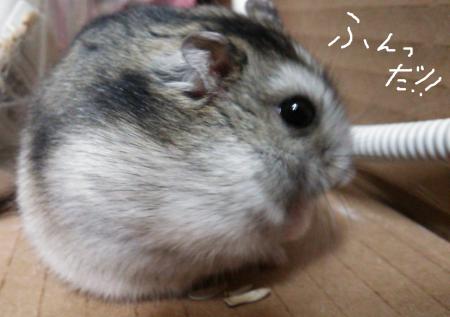 ふて腐れ_convert