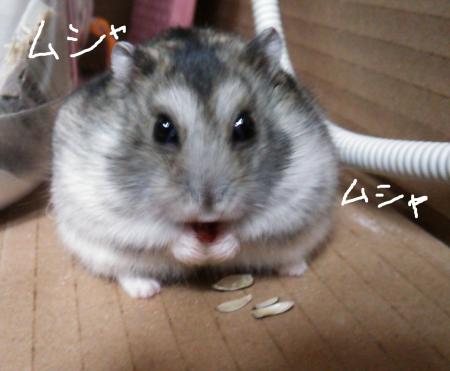 やけ食い_convert