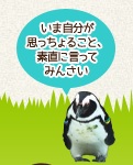 トリスタ6