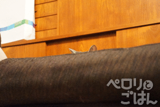 1351813722z_MvvbUM58RpzHs_1351813721.gif