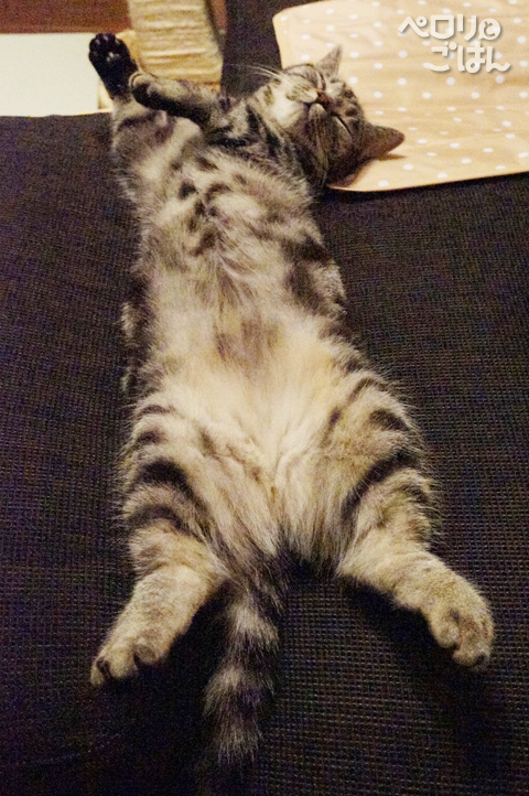 DSC05122.jpg