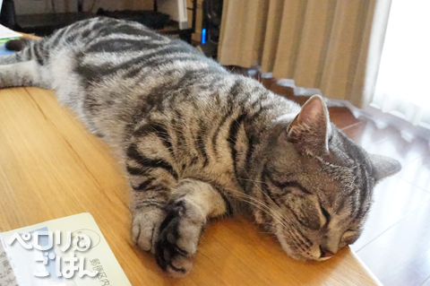 DSC05604.jpg