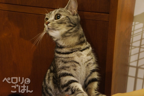 DSC05849.jpg
