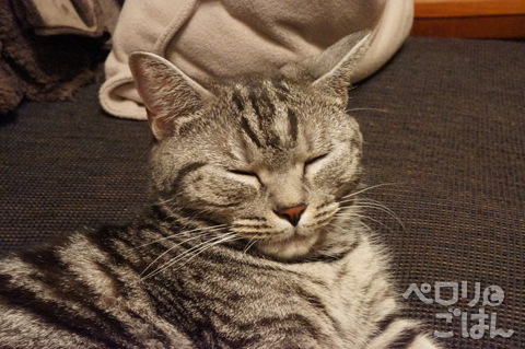 DSC07904.jpg