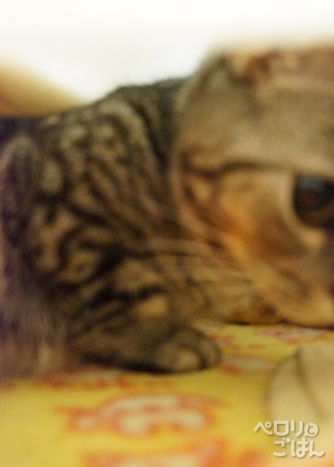 DSC08236.jpg
