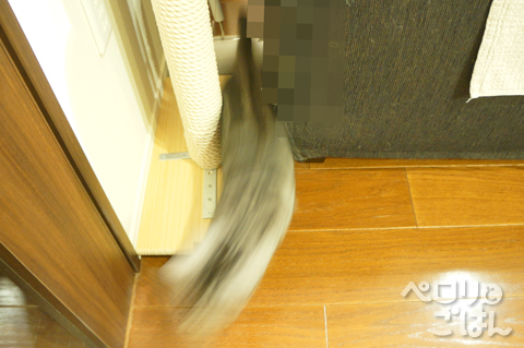 DSC09834.jpg