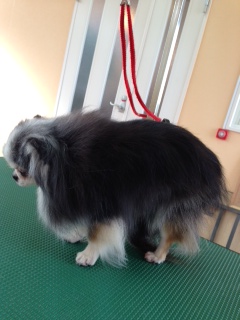 写真 3