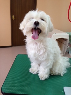 写真 2
