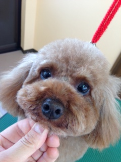 写真 1