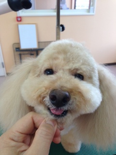写真 1