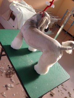 写真 4