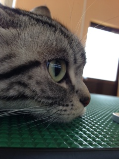 写真 2