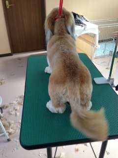 写真 1