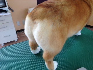 写真 1
