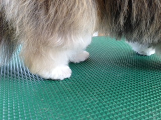 写真 4
