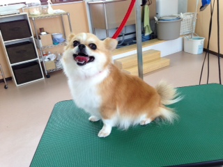 写真 2