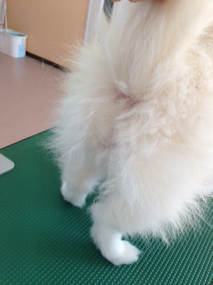 写真 3