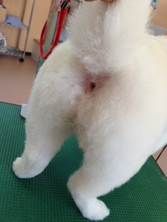 写真 1