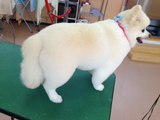 写真 2