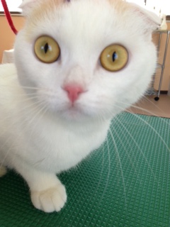 写真 3