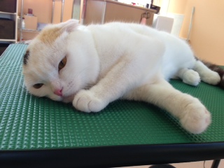 写真 1