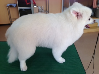 写真 5