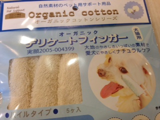写真 2 (9)