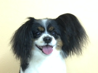 写真 5