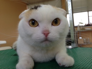 写真 1