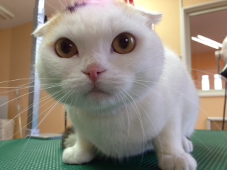 写真 2